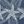 Outdoor Blue Starfish
