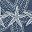 Outdoor Blue Starfish