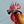 Outdoor Rooster Run