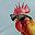 Outdoor Rooster Run