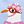 Outdoor Seagull