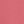 Soft Mojave Rose