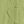 Bright Pistachio