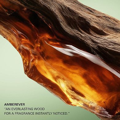 Paradigme Le Parfum Travel Spray with Amber & Leather