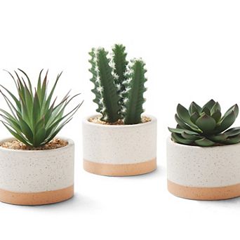 Artificial Succulents and Cacti