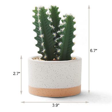 Artificial Succulents and Cacti