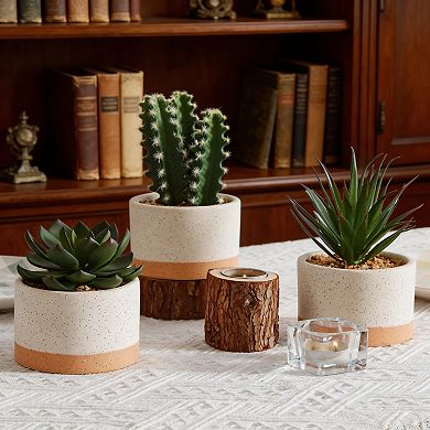 Artificial Succulents and Cacti