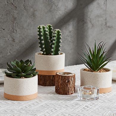 Artificial Succulents and Cacti