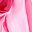 Gradient Pink