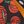 Pumpkin Multicolor