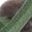 Blackish Green