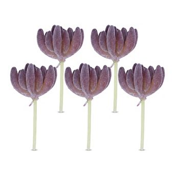 5 pc Realistic Flocked Artificial Succulents 3.5" Large Faux Echeveria Picks Frosted Unpotted Plant