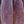 Buddha Hand Purple