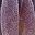 Buddha Hand Purple