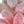 Deep Pink Wheat Ears
