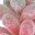 Deep Pink Wheat Ears