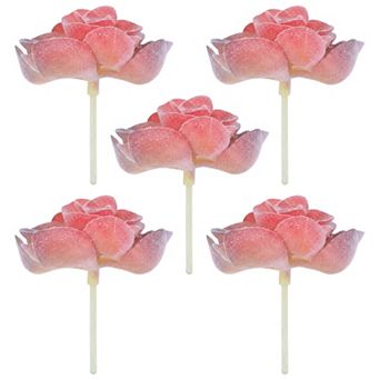 5 pc Realistic Flocked Artificial Succulents 3.5" Large Faux Echeveria Picks Frosted Unpotted Plant