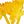 Yellow Bellflower