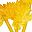 Yellow Bellflower