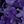 Dark Purple