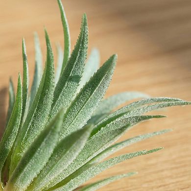 5 Pcs Realistic Flocked Artificial Sword Grass 3.7" Tall Faux Succulent Picks Frosted Unpotted Plant