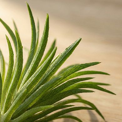 5 Pcs Mini Artificial Air Plants 2.8" Realistic Faux Tillandsia Bromeliad Unpotted Picks for DIY
