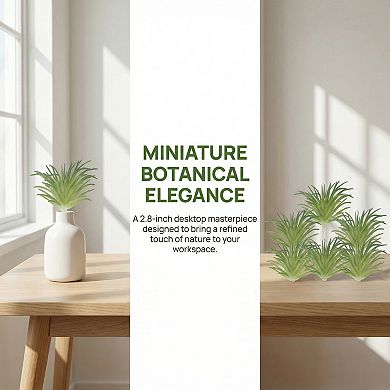 5 Pcs Mini Artificial Air Plants 2.8" Realistic Faux Tillandsia Bromeliad Unpotted Picks for DIY