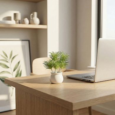 5 Pcs Mini Artificial Air Plants 2.8" Realistic Faux Tillandsia Bromeliad Unpotted Picks for DIY