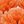 Light Orange