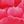 Rose Red