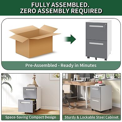 VIYET 2-Drawer Mobile File Cabinet with Lock - Fully Assembled All-Steel Storage Cabinet on Wheels
