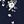 Navy Blue White