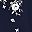 Navy Blue White