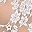 Lace White