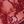 Lace Wine Red