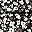 Floral Black