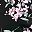 Black Flowers