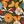 Butterfly Pattern