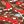 Red Paisley