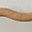 Natural Wood