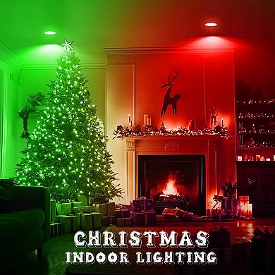 Red & Green BR30 LED Light Bulbs 65W Equivalent, Frosted Non Dimmable for Christmas Decor, 2 Pack