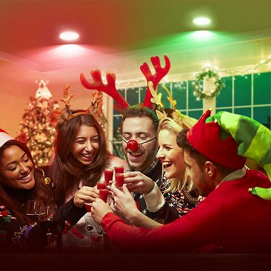 Red & Green BR30 LED Light Bulbs 65W Equivalent, Frosted Non Dimmable for Christmas Decor, 2 Pack
