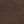 Dark Brown Leopard