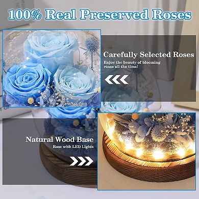Preserved Roses Birthday Mother's Day Gift