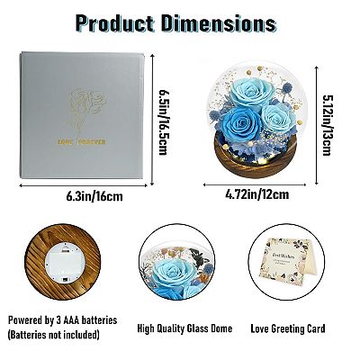 Preserved Roses Birthday Mother's Day Gift