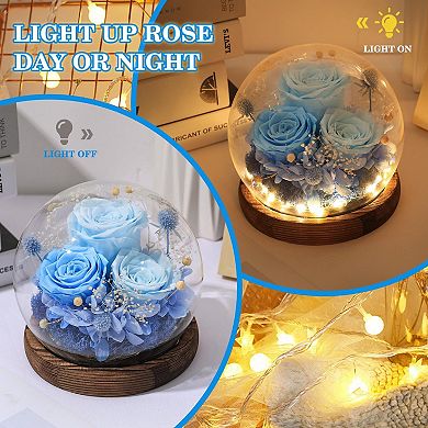 Preserved Roses Birthday Mother's Day Gift