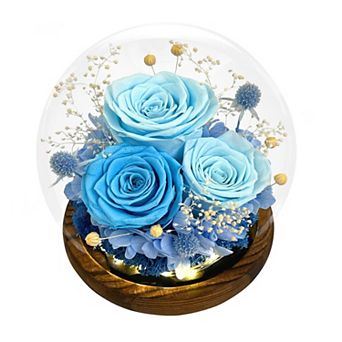 Preserved Roses Birthday Mother's Day Gift