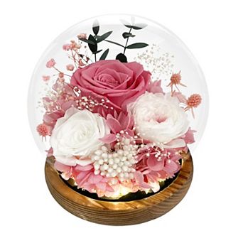 Preserved Roses Birthday Mother's Day Gift