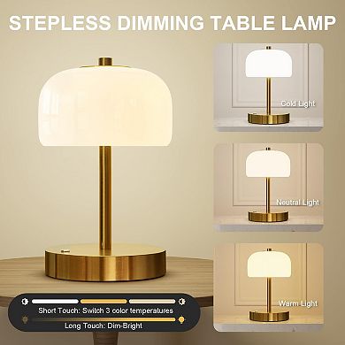 Cordless Dimming Touch Lamp Mother's Day Gifts