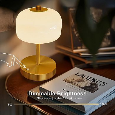 Cordless Dimming Touch Lamp Mother's Day Gifts
